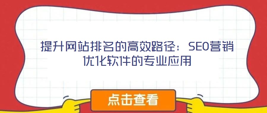 提升网站排名的高效路径:SEO营销优化软件的专业应用
