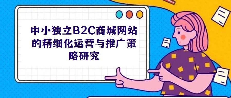 中小独立B2C商城网站的精细化运营与推广策略研究