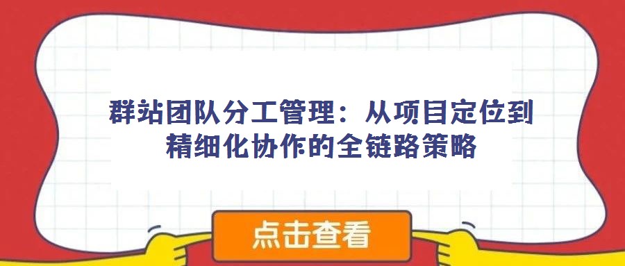 群站团队分工管理：从项目定位到精细化协作的全链路策略
